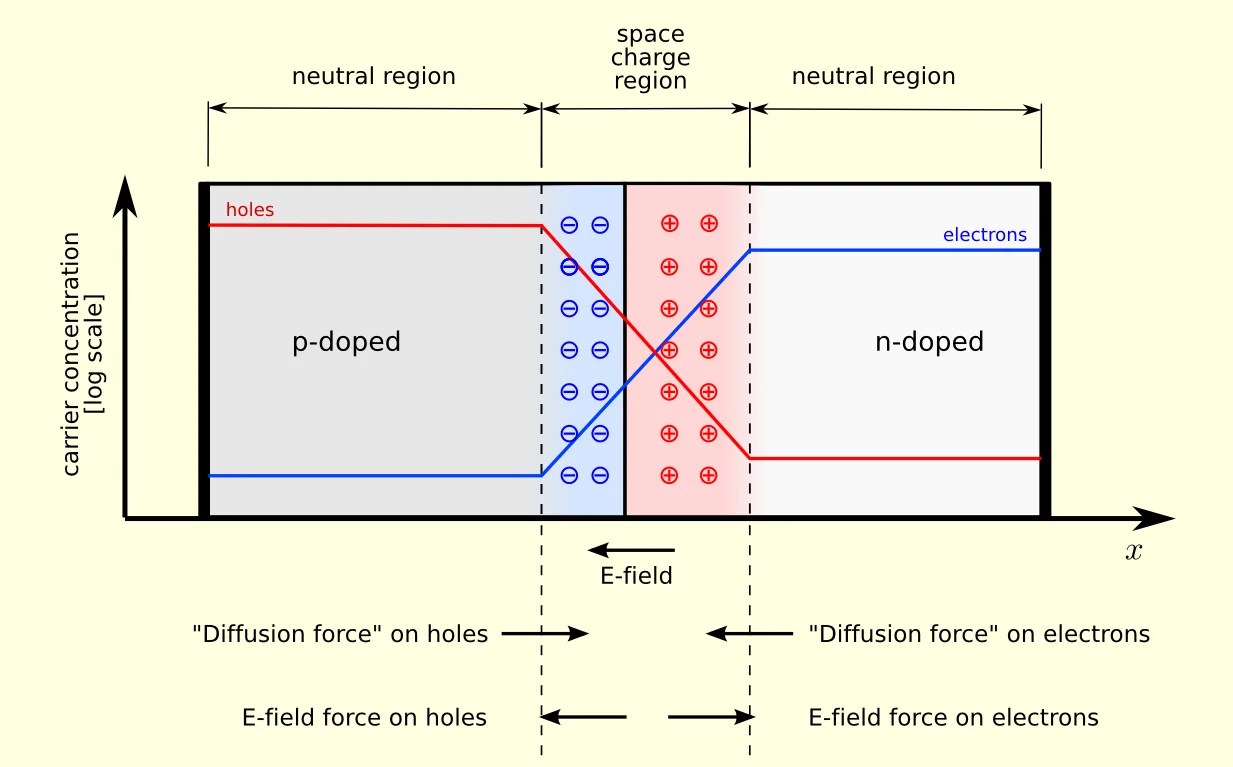 P-N junction at equilibrium showing depletion zone